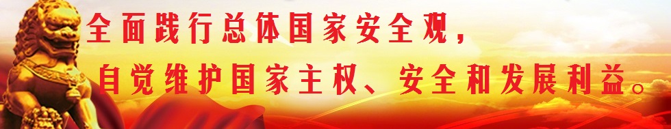 堅持總體國家安全觀，構(gòu)筑維護國家安全鋼鐵長城。