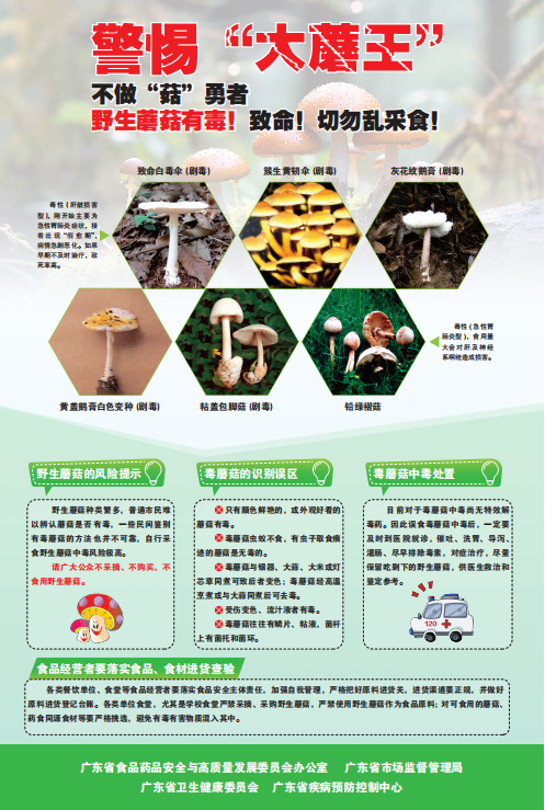 警惕“大蘑王”，不做“菇”勇者.png