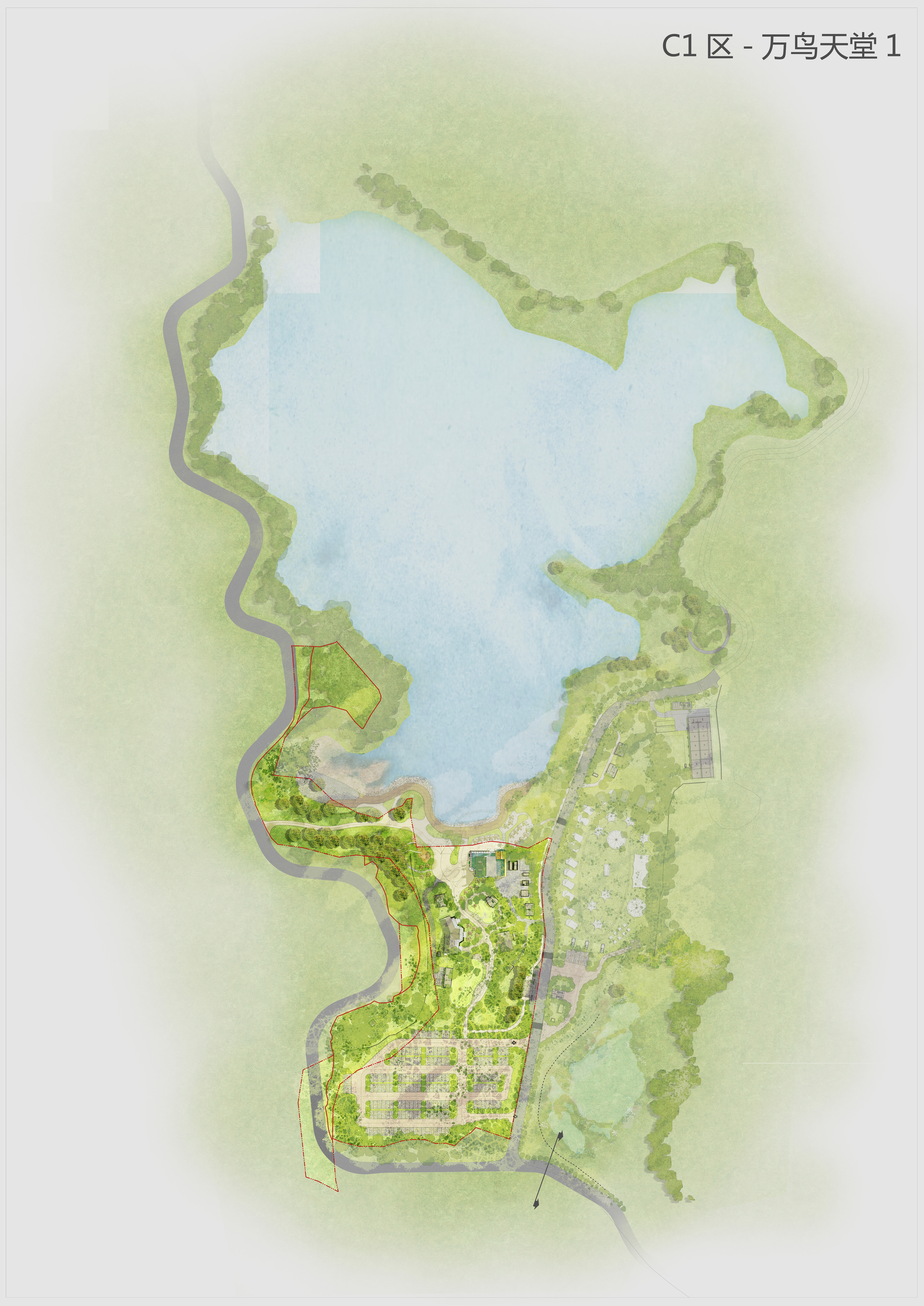 C1-萬(wàn)鳥天堂1(1).jpg