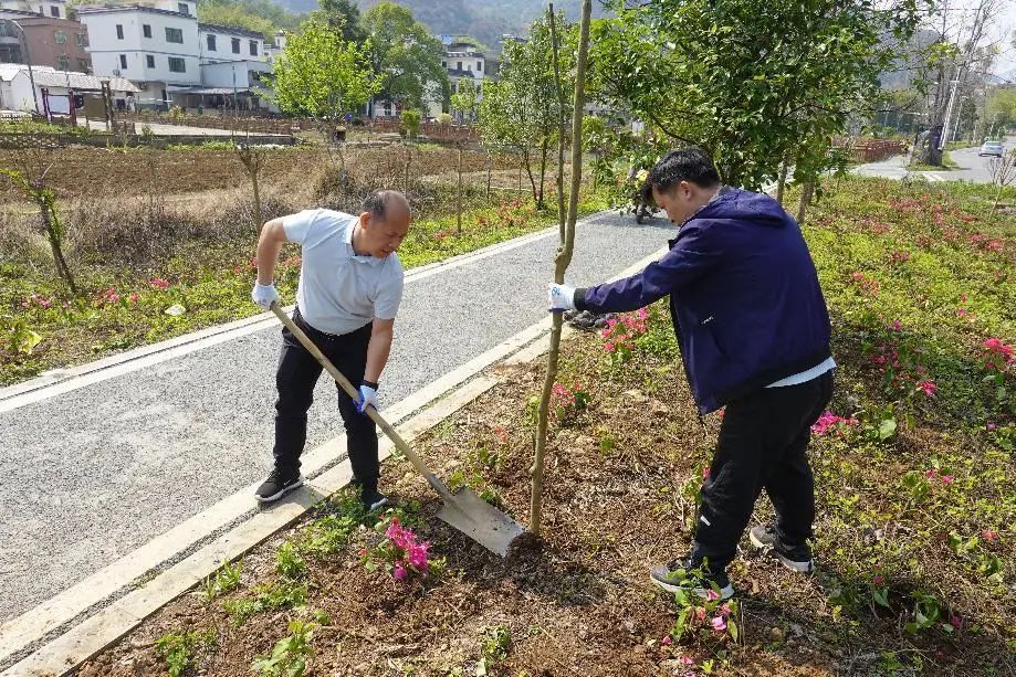 清遠(yuǎn)市信訪局赴杜步鎮(zhèn)開展鄉(xiāng)村綠化主題黨日活動